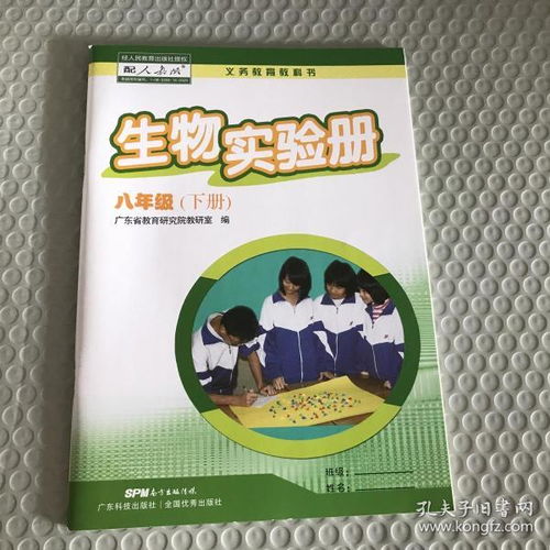 圖書購買與廣告設計 探索多多圖書旗艦店與孔夫子舊書網的魅力